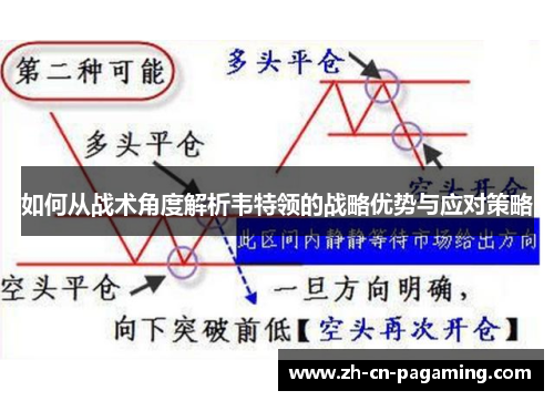 如何从战术角度解析韦特领的战略优势与应对策略
