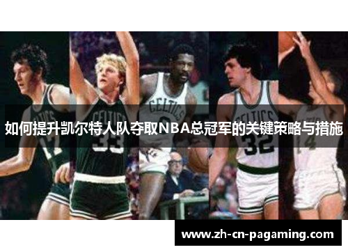 如何提升凯尔特人队夺取NBA总冠军的关键策略与措施