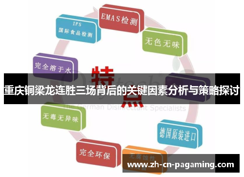 重庆铜梁龙连胜三场背后的关键因素分析与策略探讨