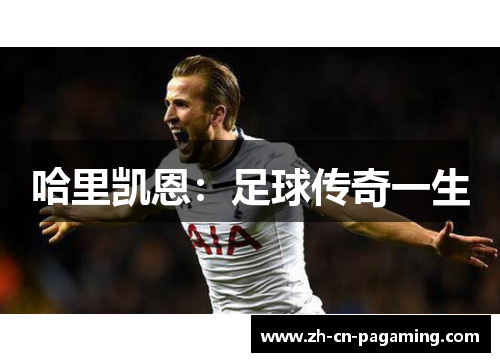 哈里凯恩:足球传奇一生 哈里凯恩:足球传奇一生