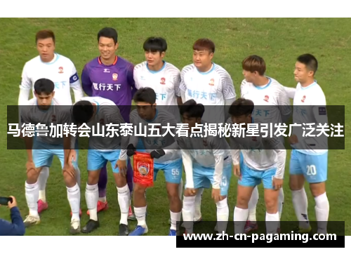 马德鲁加转会山东泰山五大看点揭秘新星引发广泛关注