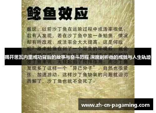 揭开恩瓦内里成功背后的故事与奋斗历程 深度剖析他的成就与人生轨迹