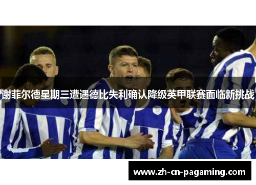 谢菲尔德星期三遭遇德比失利确认降级英甲联赛面临新挑战