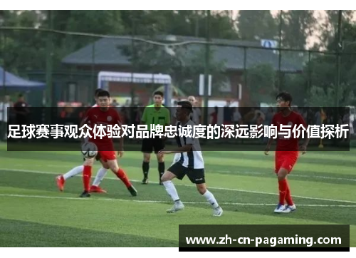 足球赛事观众体验对品牌忠诚度的深远影响与价值探析