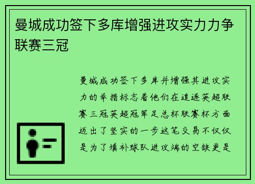 曼城成功签下多库增强进攻实力力争联赛三冠